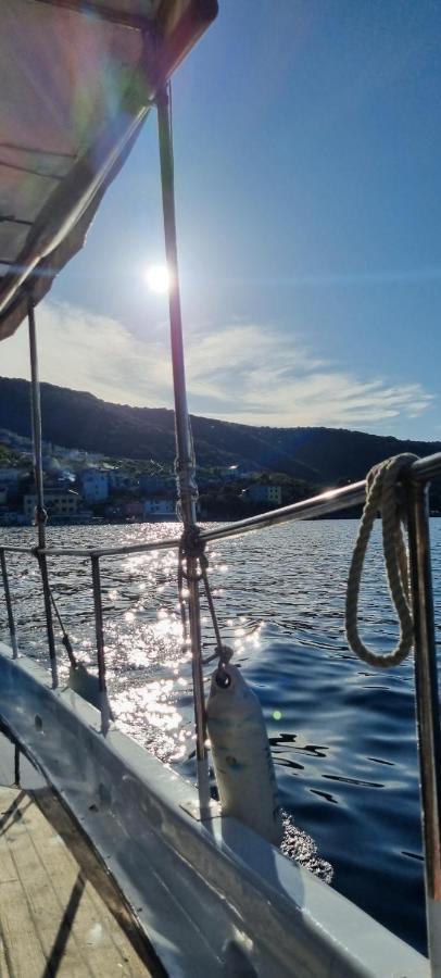 Sea La Vie Apartment Valun Bagian luar foto